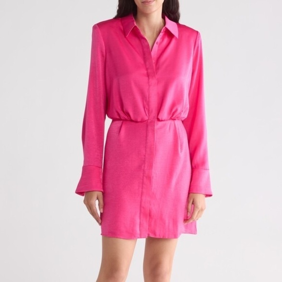BCBG Long Sleeve Pink Chiffon Dress (S) - Picture 1 of 5